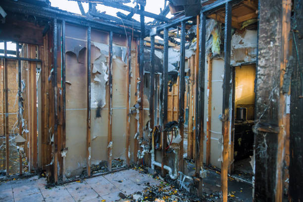 Professional Fire Damage Removal technician working in North Dakota, ND